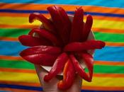 Mercredi Gourmand: terre dans salon