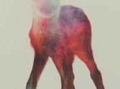 Jolies impressions Andrea