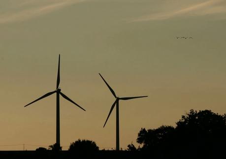 Poitou-Charentes : le schéma régional éolien menacé d'annulation