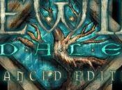 Icewind Dale Enhanced Edition sortie