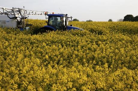 Un paysan épand des pesticides sur un champ de colza à Blecourt, près de Cambrai (Nord), le 10 mai.