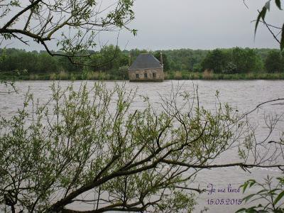 La Photo du mois # 4 : le flou et la vie