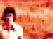 Dimanche Découverte n°19