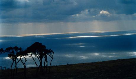 NEPENTHES – S/S 2015 COLLECTION – MY GRAND TOUR EDITORIAL