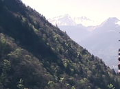 Beny Brownies Fusil Bubblegum (Vidéo)