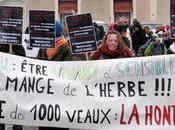 Lobbys élus s'opposent changement dans régions Aquitaine, Limousin, Centre Poitou-Charentes