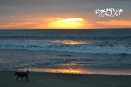 Hotel del Mar: inspiration d’Ibiza à Mancora