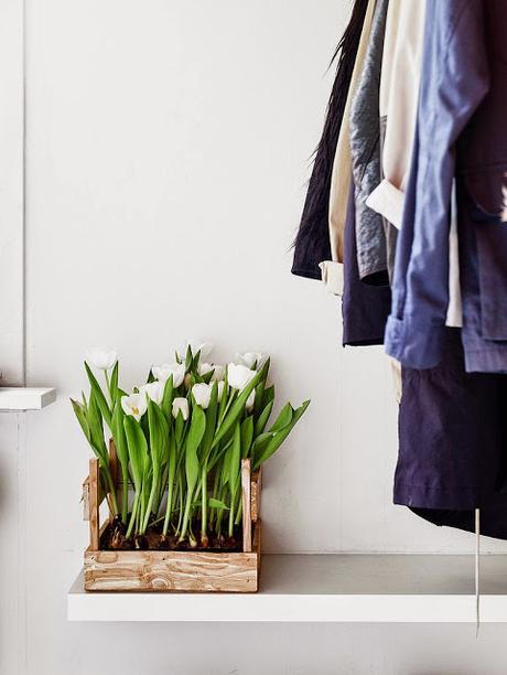 For my home / Idées déco 15 / Accrocher ses plantes /