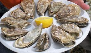 Pour une douzaine d'huîtres, combien de chromosomes?