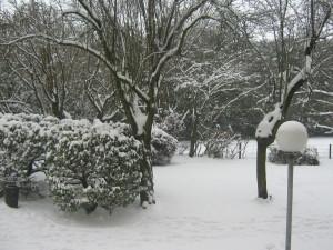 Il neige sur Just-We- Mllez