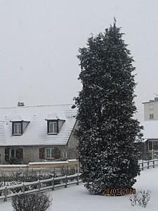 Il neige sur Just-We- Mllez