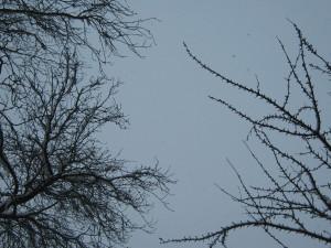 Il neige sur Just-We- Mllez