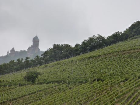 Alsace, le chateau de Haut Koenigsbourg