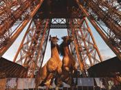 jours cheval événement sportif culturel pied Tour Eiffel