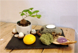 Composition végétale par eliz'art ( ardoise, galets, végétaux séchés, bois flotté, lichen, plante...)