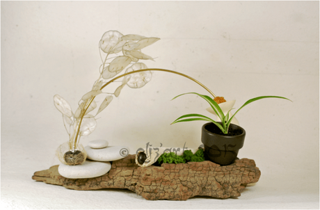 Composition végétale par eliz-art (galets, végétaux séchés, bois flotté, lichen,laiton...)