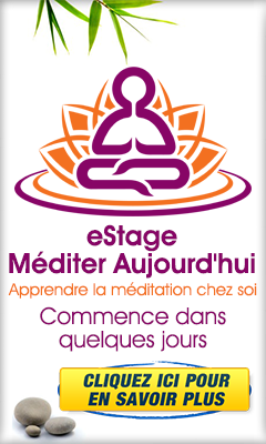 Stage Méditer Aujourd'hui
