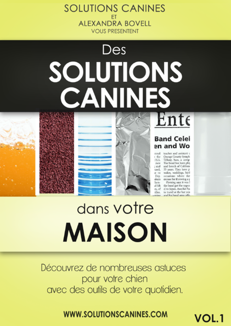 Des solutions canines dans votre maison : L'e-book malin d'Alexandra Bovell