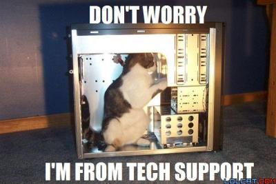 pc tech support cat