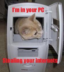 im in your pc stealing your internets