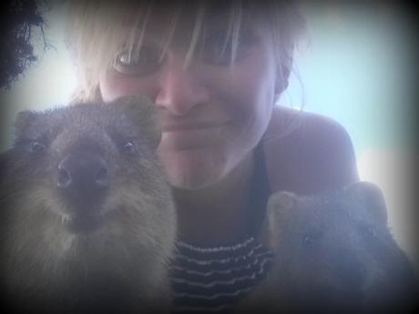 selfie quokka