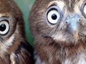 magie comme voie vers Magie