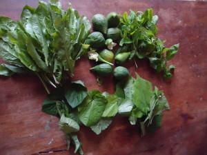 couscous berbère aux figues vertes
