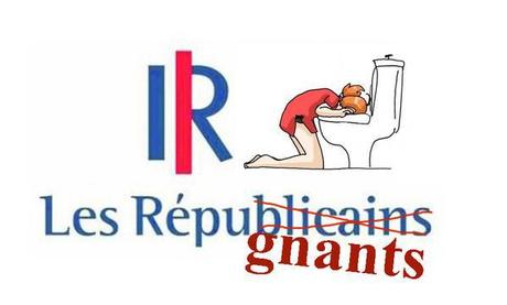 scandale démocratique en France : soudain,  des millions de français ne sont plus républicains