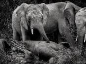 mots (six-word memoirs) Losing people