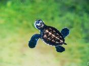 Insta Lanka clic photo Géraldine