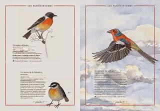 Prendre un grand, un très grand bain de vert