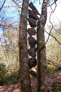 Prendre un grand, un très grand bain de vert
