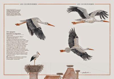 Prendre un grand, un très grand bain de vert