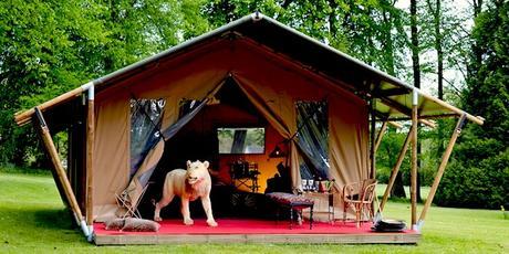 INSOLITE : Du glampling ( camping glamour ) à Bruxelles