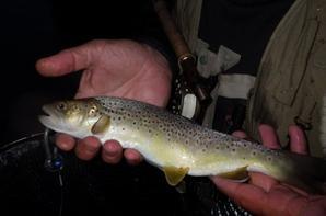 Partie de pêche à la mouche coup du soir