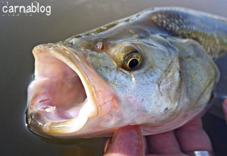 Ca commence à bouger !