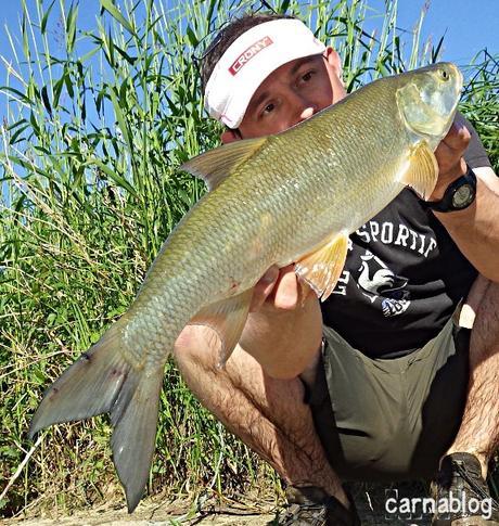 Ca commence à bouger !