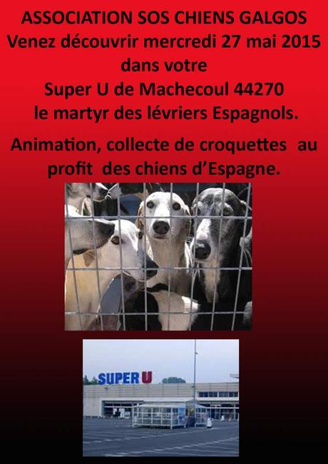 Germaine notre déléguée Pays de Loire en action