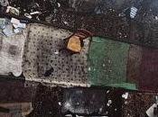 FRAC Provence Alpes Côte d’Azur Marie BOVO danse l’ours jusqu’au Juin 2015