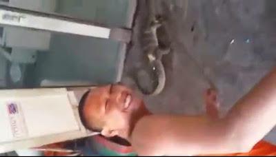 Thaïlande, le moine, le varan et les WC [HD]