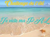Challenge 2015 vide