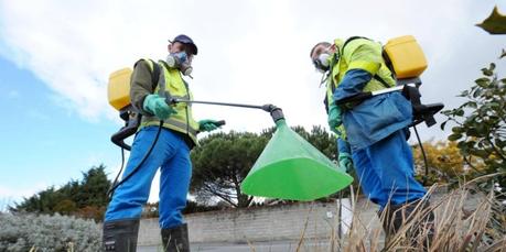 Charente-Maritime : zéro pesticide dans les communes, est-ce possible ?
