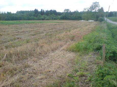 Epandage d'herbicide chimique à proximité de la Charente sur le PNR Périgord-Limousin