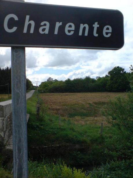 La Charente près de ses sources... et d'un champ passé au glyphosate