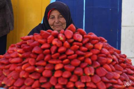 Des fraises sur un trottoir de Gaza