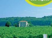 L’incroyable pique-nique vignes juin 2015