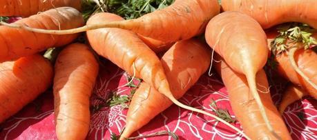 Potage carotte et cannelle sans gluten
