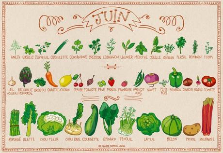 Calendrier des fruits et légumes en Juin