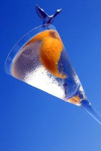 GREYGOOSE-CAMIONNETTE-CANNES-40