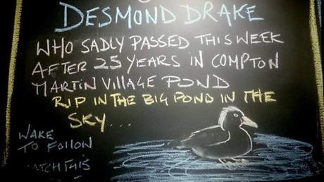 Duck funeral